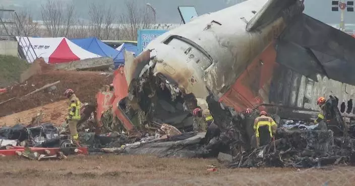 Investigations into cause of South Korean plane crash underway