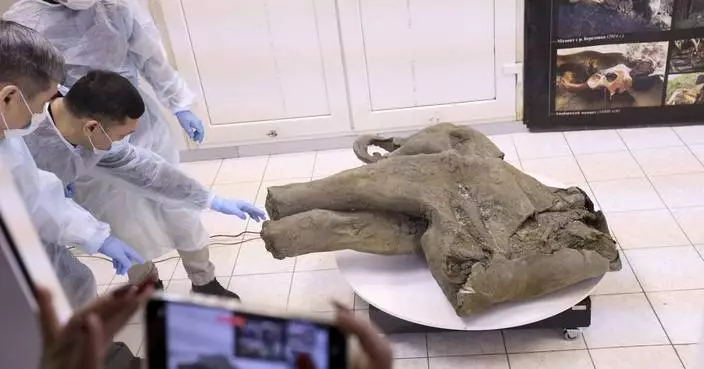 Baby mammoth preserved for 50,000 years unveiled in Russia's Siberia