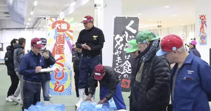 Fresh fin whale meat is auctioned for the first time in decades in Japan