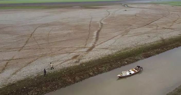 Drought, fires and deforestation battered Amazon rainforest in 2024