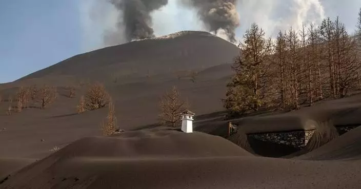 Macaronesian Stories, a moving campaign to rebuild a dream buried by La Palma&#8217;s volcano in the Canary Islands