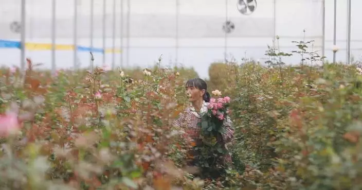 High-tech boosts Yunnan flower industry