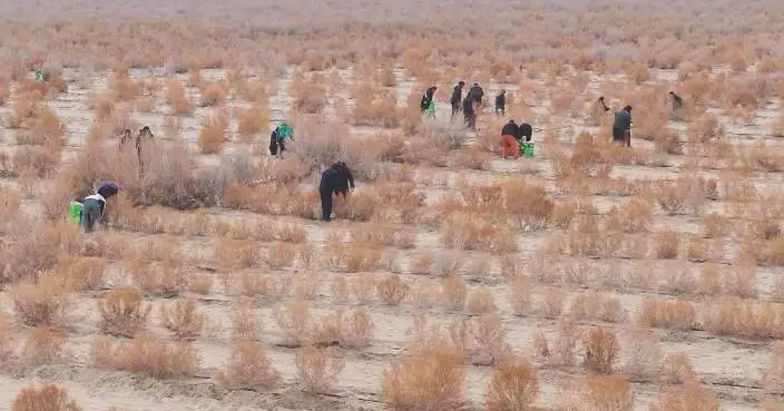 Xinjiang opens new chapter in fighting desertification