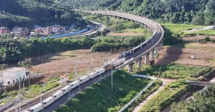 China-Laos Railway handles over 50 million tons of goods