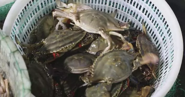 Fishermen, seafood farmers embrace new year with good harvest in Sichuan, Jiangsu