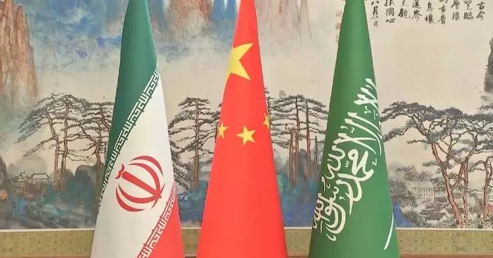 Iranian FM expects China to play bigger role in Middle East peace process