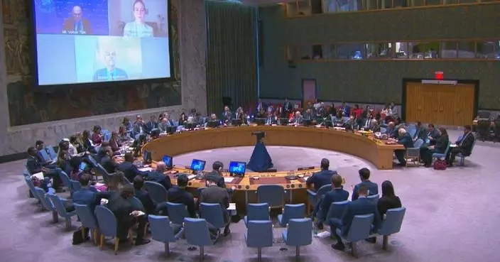 UN Security Council warns of continuing &#8220;human rights catastrophe&#8221; in Gaza