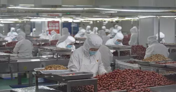 Food factories in China's Henan seek industrial upgrading to serve growing, diverse markets