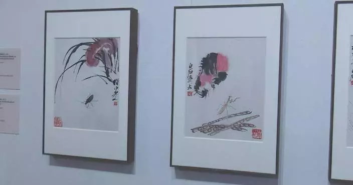 Artworks of Chinese painter Qi Baishi now on display in San Francisco