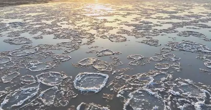 Floating &#8220;ice flowers&#8221; bloom on Yellow River section