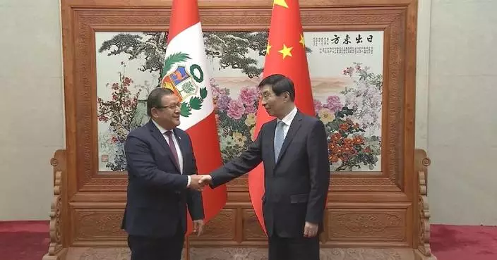 China&#8217;s top political advisor meets Congress of Peru president