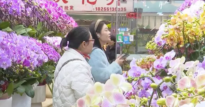 Chinese New Year flower market ushers in peak season