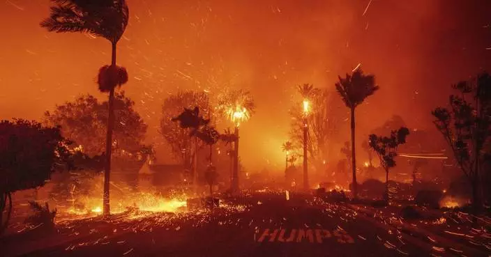 A second wind-whipped wildfire is burning out of control in the Los Angeles area