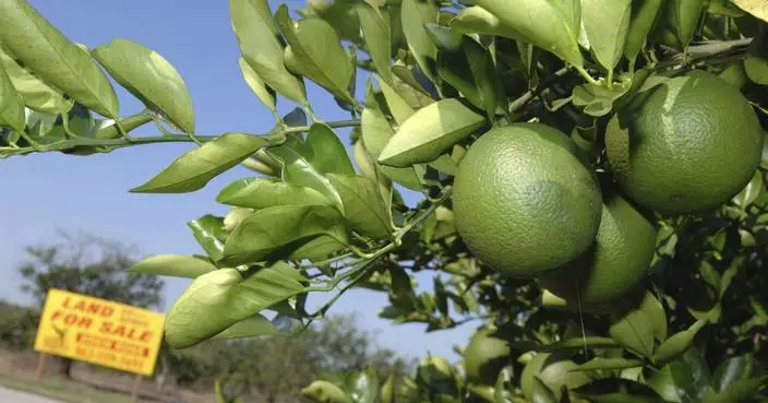 Florida orange juice and steel will be on Canada&#8217;s list for retaliation if Trump imposes tariffs