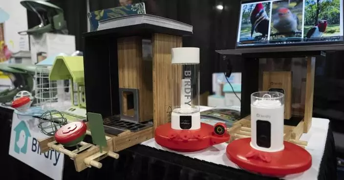 Smart bird feeders gain popularity and spark interest in bird-watching