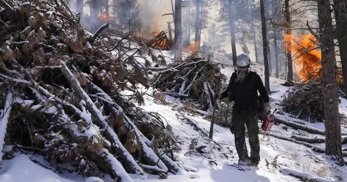 Trump wants states to clean up forests to stop wildfires. But his administration cut off funds