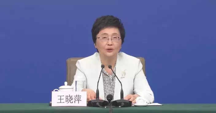 China to raise minimum standard of basic pension: minister