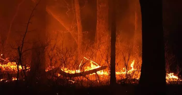Evacuation orders lifted as fast-moving New Jersey wildfire burns