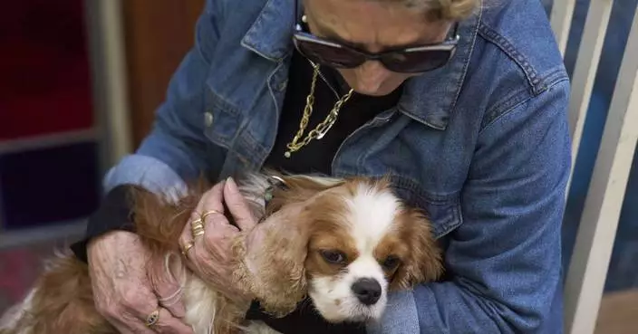Dog reunites with Israeli family after disappearing for 18 months in Gaza