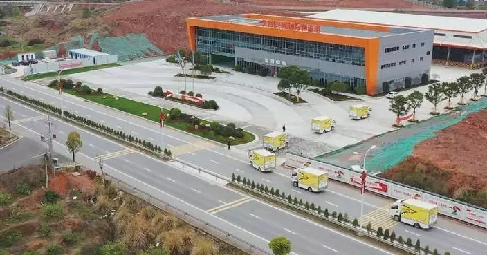 China&#8217;s top-tier logistics firms surpass 10,000 mark