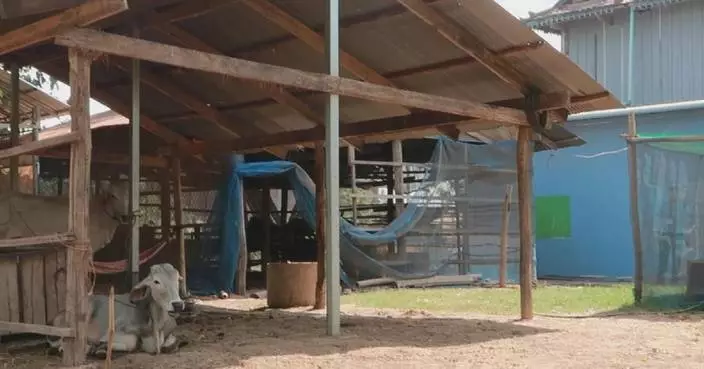 Chinese agricultural program improves village livelihoods in southeastern Cambodia