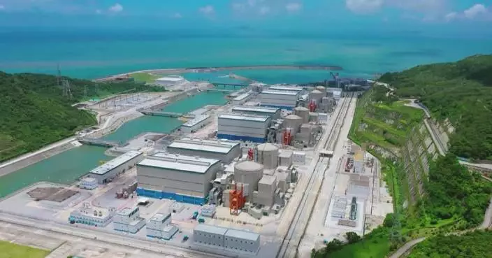 China boasts world's largest nuclear power capacity with manageable risks: official