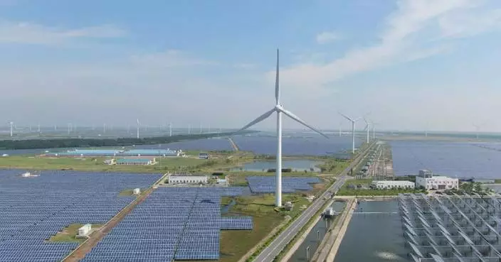 China's wind, solar energy capacity surpasses thermal power for first time