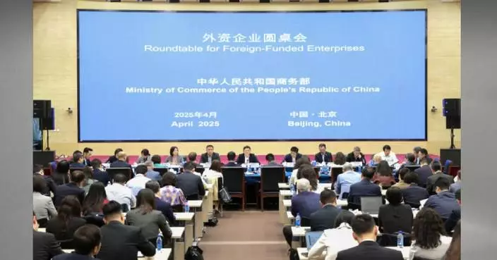 China committed to protecting rights, interests of foreign-funded enterprises: vice minister