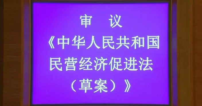 Chinese lawmakers advance legislation to support private sector growth