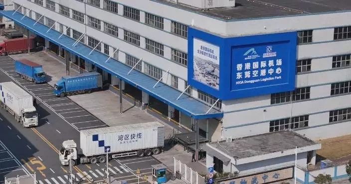 Dongguan-HK airport logistics park handles 24,000 tons of goods in 2 years