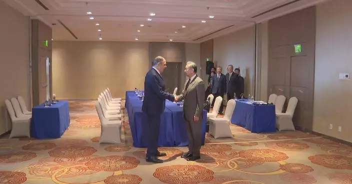 Chinese FM meets Russian counterpart in Rio de Janeiro