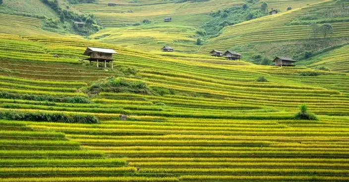 Cascale’s Higg FEM Reveals Opportunities for Low-Carbon Transition in Vietnam