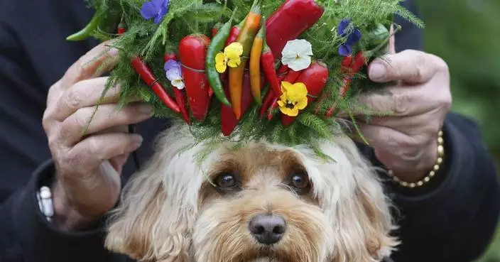 AP PHOTOS: Chelsea Flower Show blooms with royals, celebrities and pets