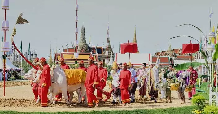 An elaborate centuries-old royal ritual in Thailand&#8217;s capital predicts a good year for farmers