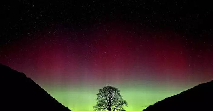 2 men convicted of cutting down beloved Sycamore Gap tree in northern England in 2023