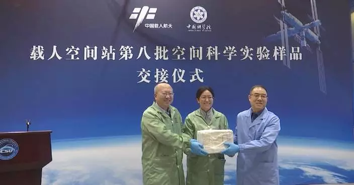 Samples from Shenzhou-19 space experiments handed over to scientists