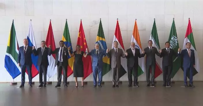 BRICS countries should become reliable force in safeguarding developing countries&#8217; rights: FM