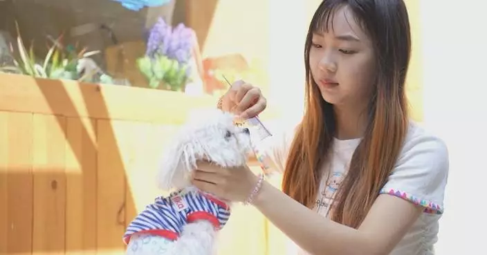 Pet sitter finds joy in daily routine