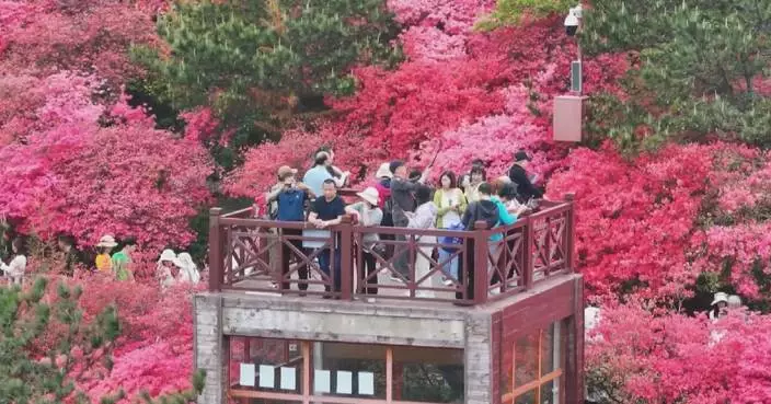 Special train services help sightseers enjoy May Day holiday