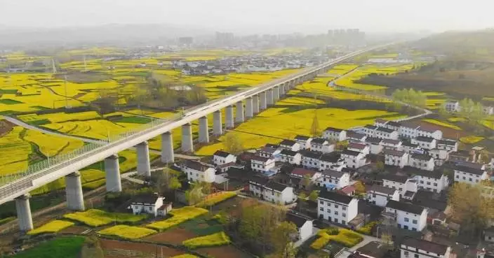 China&#8217;s high-speed trains for viewing flowers fuel spring tourism boom