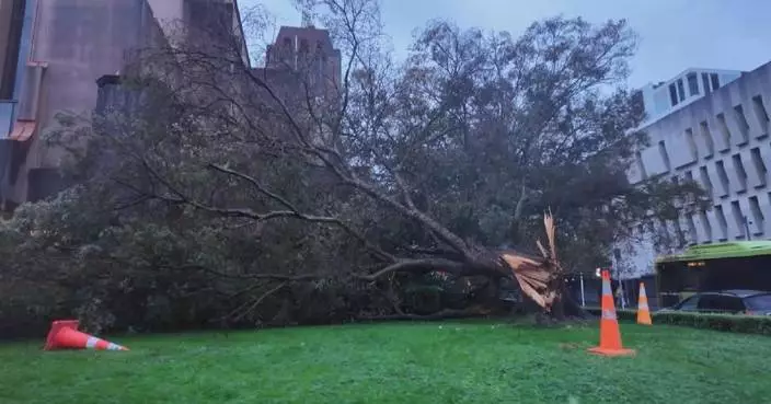 Extreme weather in New Zealand eases with some areas still under emergency