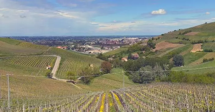 U.S. tariffs cast long shadow over Italy's wine export hopes