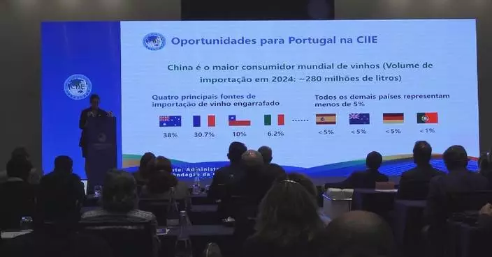 Promotional event for 8th China International Import Expo held in Portugal