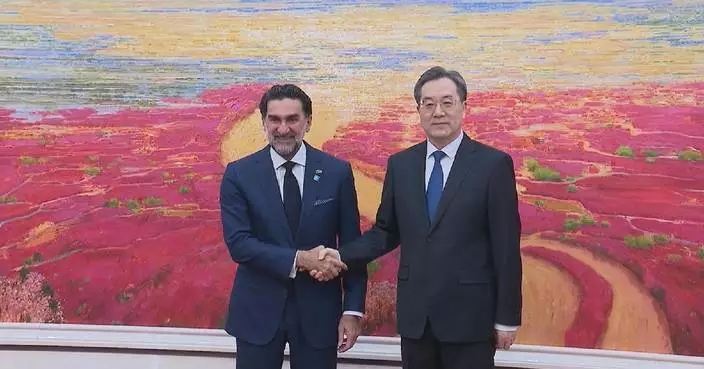 Chinese vice premier meets Saudi Aramco chairman