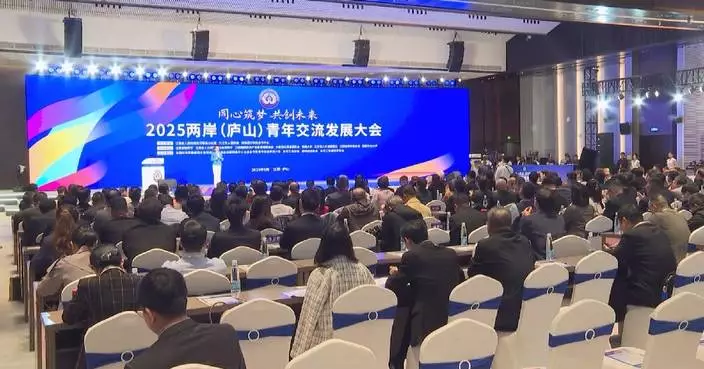 Cross-Strait youth conference opens in Jiangxi to promote cooperation, employment