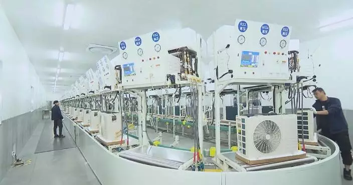 Anhui helps local exporters pivot to domestic market