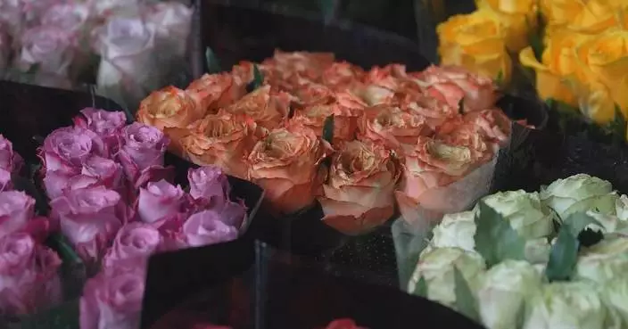 Yunnan&#8217;s blossoming flower industry spurs economic growth, attracts young talent