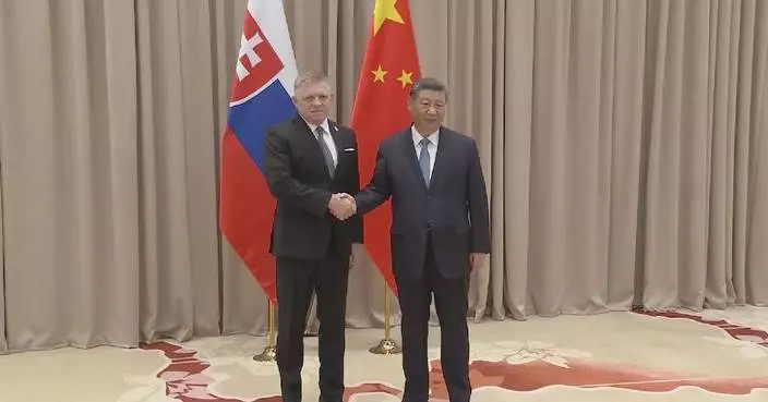 Xi says China-Slovakia strategic partnership entering &#8220;fast lane&#8221; of development