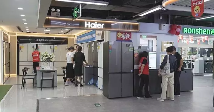 Trade-in policy drives surge in household consumption in 2024