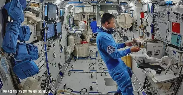 First experiment on planarian regeneration conducted at China&#8217;s space station